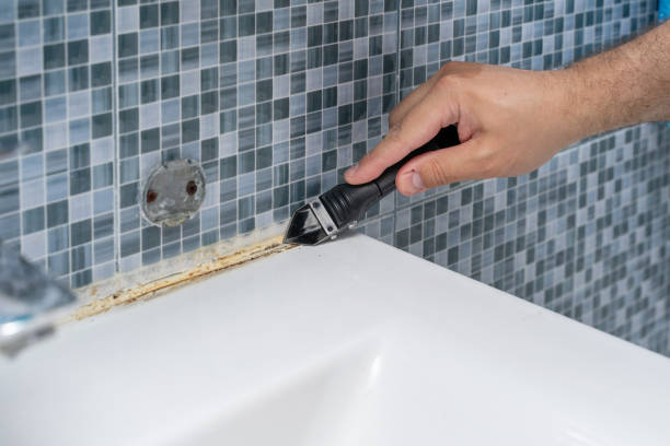 Best Mold Removal Near Me  in Manhasset, NY
